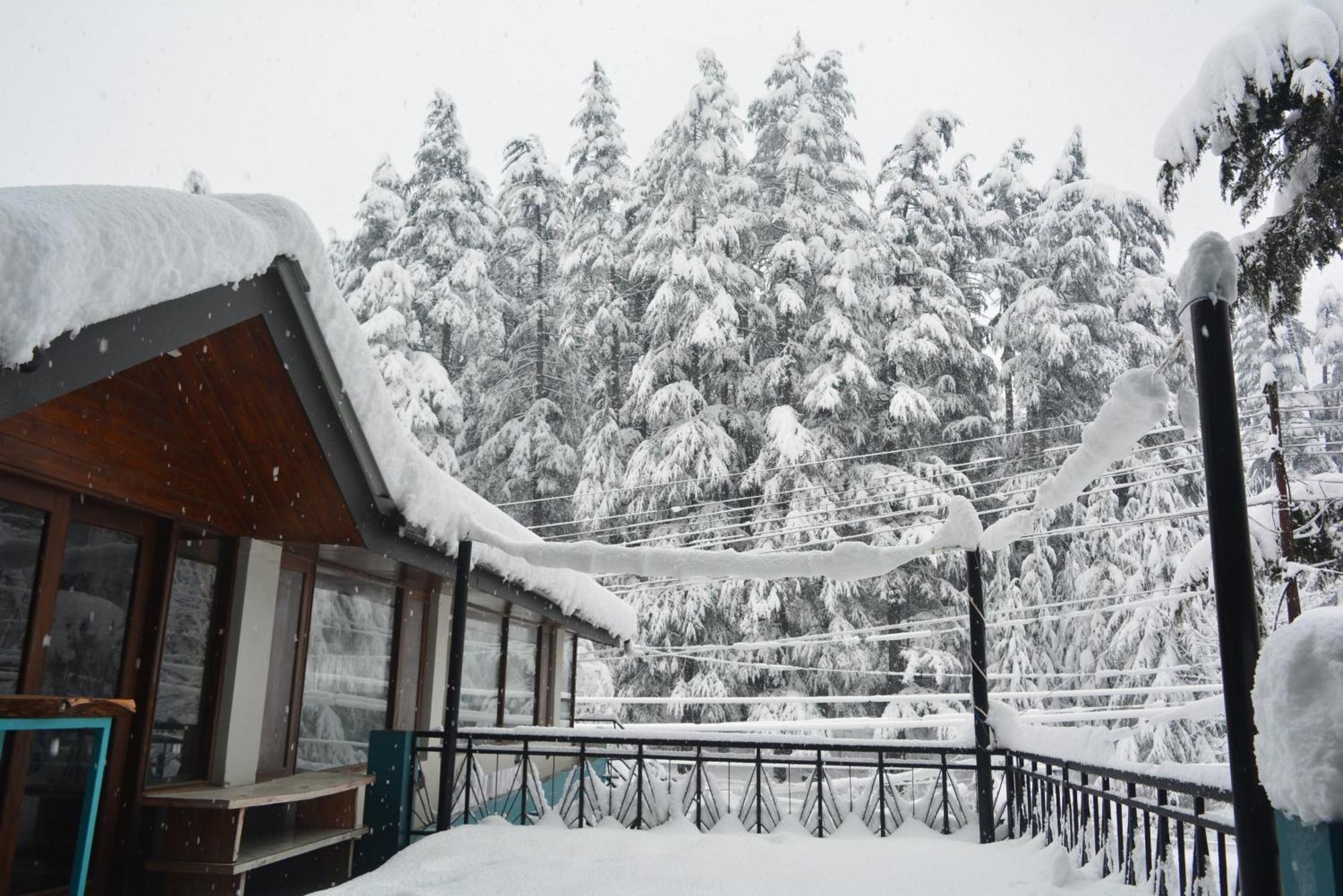 The Neelgiris Hotel Manali  Ngoại thất bức ảnh